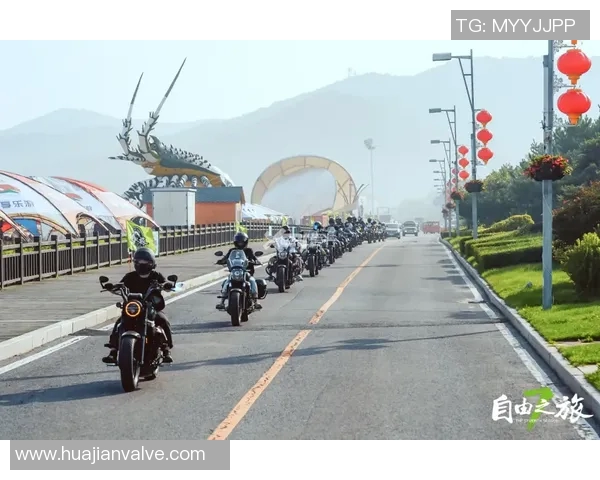 南京飞盘队的反击革新之路探索与未来展望