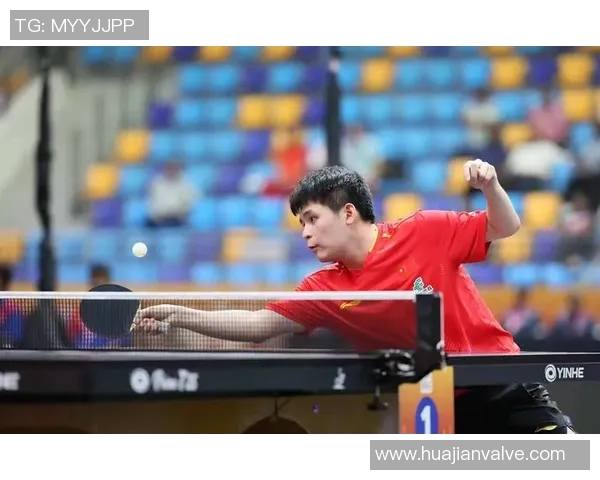 乒乓球的变革之路：探寻上海乒乓球队的转型与发展之道