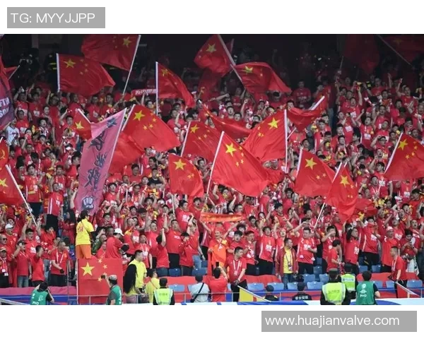 杭州排球队灵活性引发热议球迷与专家观点碰撞激烈