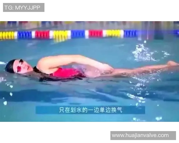 提升自由泳技巧与体能训练的全方位课程计划与实践指导