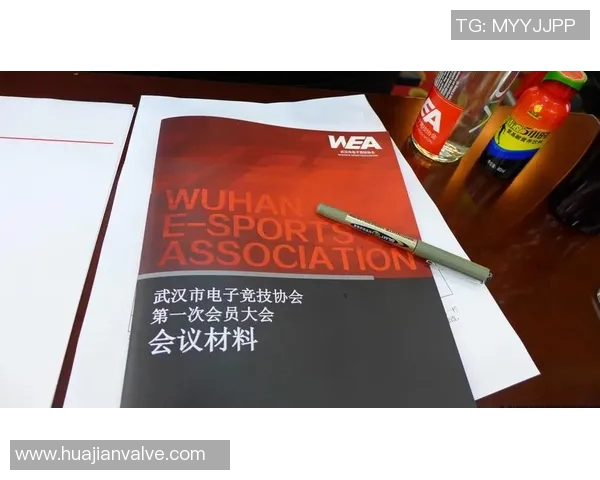 刘敏专访:从职业赛场到电竞文化的传承与发展之路