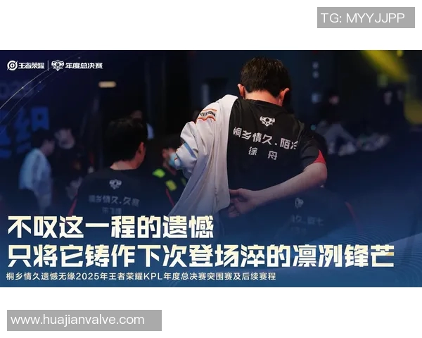 聚焦王者荣耀TES战队默契配合与战术分析探讨