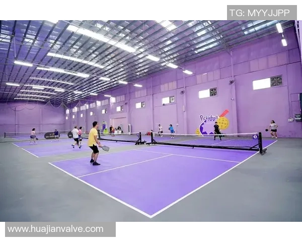 竞技运动发展与创新：从传统项目到新兴体育的转型与挑战