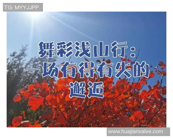 张秀英的飞盘人生：从热爱到梦想的深度对话与启示