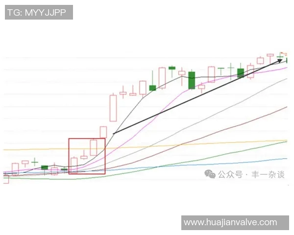 LNG在Major赛中的技术表现分析与战术解读